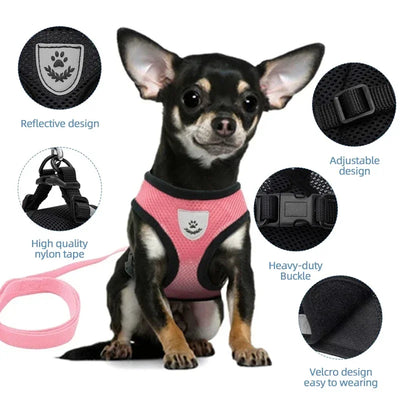 Adjustable Pet Car Seat Belt – Two-in-One Safety Leash for Dogs & Cats