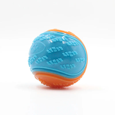 Fetch & Fancy TPR Squeaky Chew Ball – Interactive Dog Toy for Teeth Cleaning, Bite Resistance, and Mental Enrichment