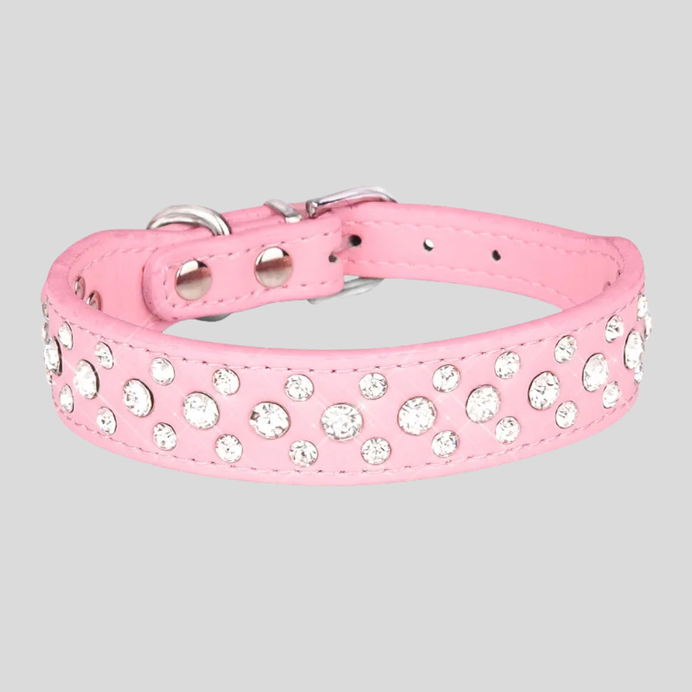 Adjustable Rhinestone Pet Collar – Small Dogs & Cats
