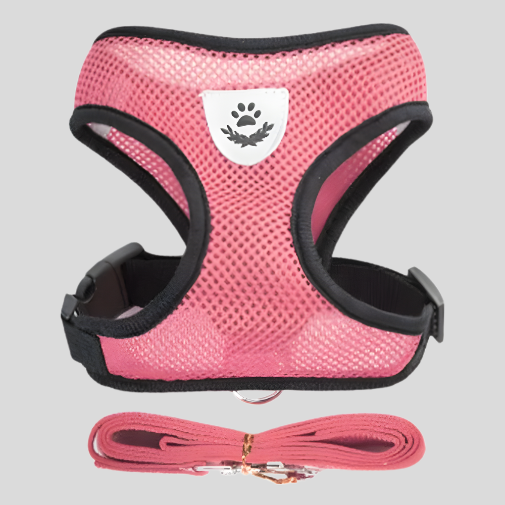 Adjustable Pet Car Seat Belt – Two-in-One Safety Leash for Dogs & Cats