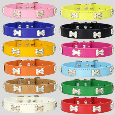 Bone Leather Pet Collar