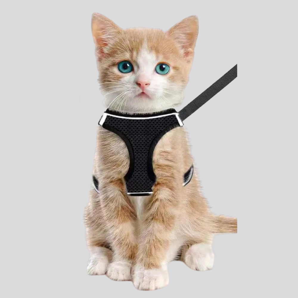 Escape-Proof Cat Harness & Leash – Reflective, Adjustable Soft Mesh for Outdoor Walks