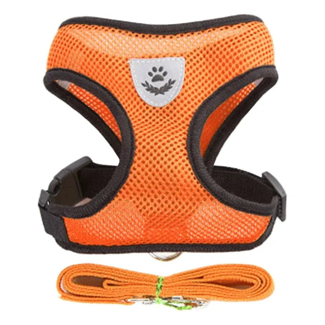 Adjustable Pet Car Seat Belt – Two-in-One Safety Leash for Dogs & Cats