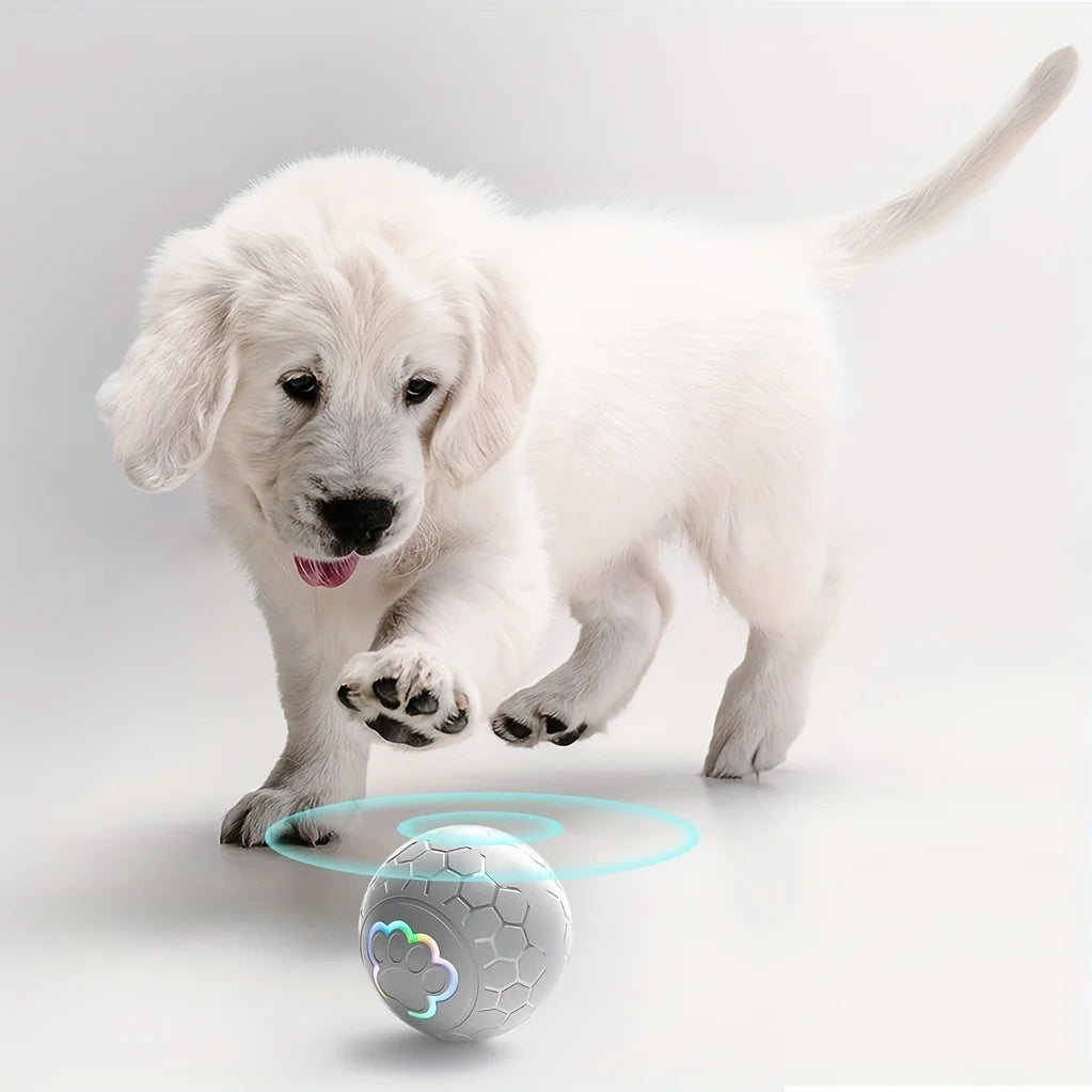 Fetch & Fancy Smart Interactive Dog Toy Ball – USB Rechargeable, Automatic Rolling & Bouncing with RGB Lights for Cats & Puppies