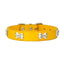 Bone Leather Pet Collar