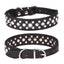 Adjustable Rhinestone Pet Collar – Small Dogs & Cats