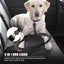 Reflective Shock-Absorbing Dog Leash – Tactical Bungee Lead with Car Seatbelt Clip for Large Dogs