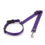 Adjustable Pet Car Seat Belt – Two-in-One Safety Leash for Dogs & Cats