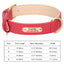 Personalized Dog Collar – Custom Engraved PU Leather