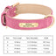 Personalized Dog Collar – Custom Engraved PU Leather